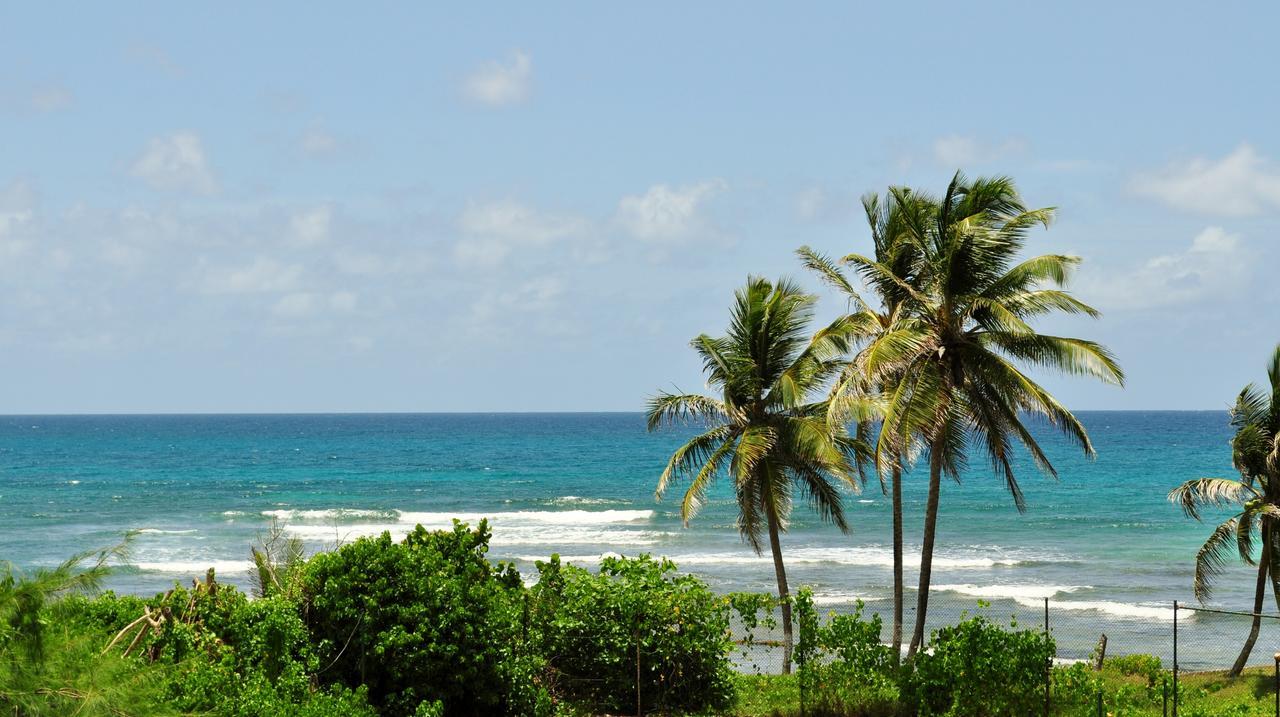 Studio Anse Des Rochers แซงต์-ฟรองซัวส์ ภายนอก รูปภาพ