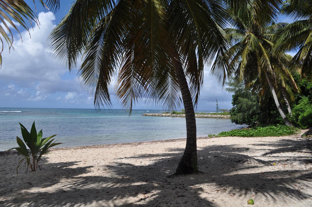 Studio Anse Des Rochers แซงต์-ฟรองซัวส์ ภายนอก รูปภาพ